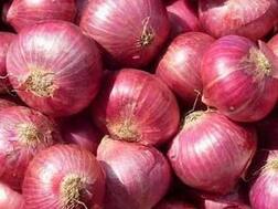 SHOCKING: 6-yr-old dead as father pushes onion in her throat as punishment