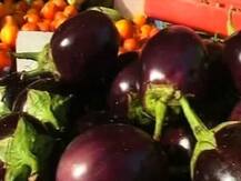 GM crops are not the solution to global hunger