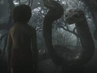 'The Jungle Book' rules China's box office 'The Jungle Book' rules China's box office