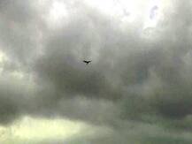 येत्या 24 तासात कोकण-मुंबईत जोरदार पाऊस, हवामान खात्याचा इशारा