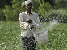 गुजरात में 50 हजार किसानों ने फसल बीमा ऑनलाइन खरीदा