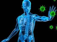 इम्यून सिस्टम को प्रभावित करती हैं ये चीजें!