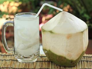 ... इसलिए डेंगू और चिकनगुनिया में पीते हैं नारियल पानी और काढ़ा! 