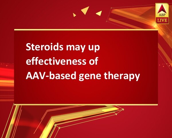 Steroids may up effectiveness of AAV-based gene therapy Steroids may up effectiveness of AAV-based gene therapy