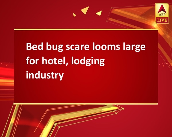 Bed bug scare looms large for hotel, lodging industry Bed bug scare looms large for hotel, lodging industry