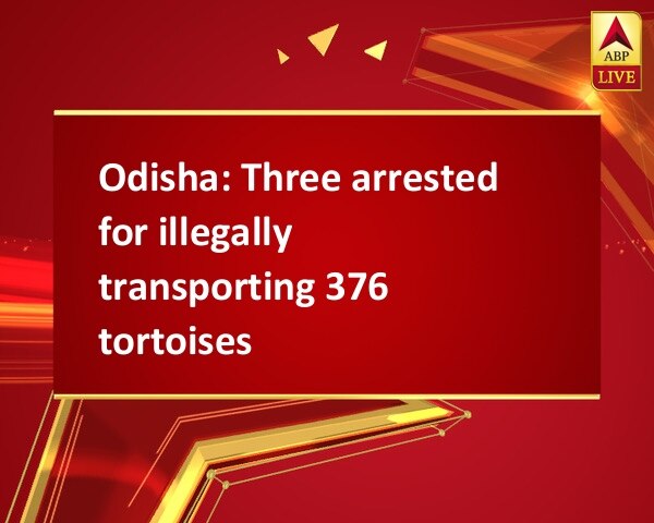 Odisha: Three arrested for illegally transporting 376 tortoises