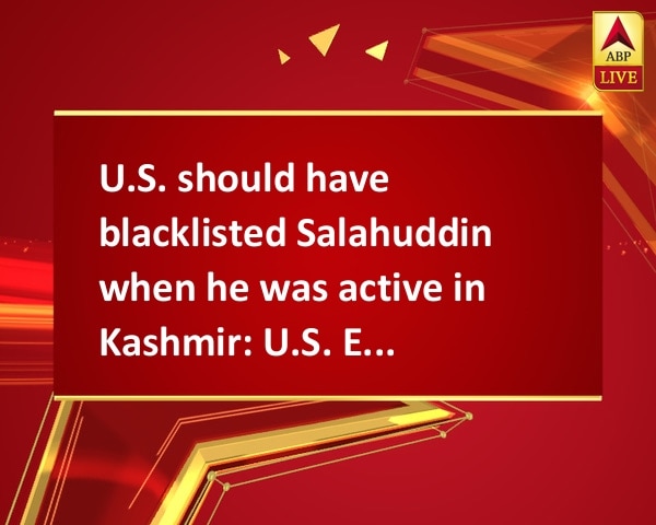U.S. should have blacklisted Salahuddin when he was active in Kashmir: U.S. Expert U.S. should have blacklisted Salahuddin when he was active in Kashmir: U.S. Expert