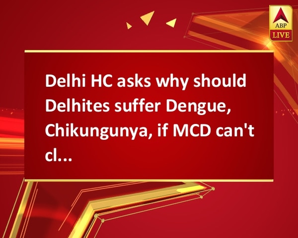 Delhi HC asks why should Delhites suffer Dengue, Chikungunya, if MCD can't clear garbage Delhi HC asks why should Delhites suffer Dengue, Chikungunya, if MCD can't clear garbage