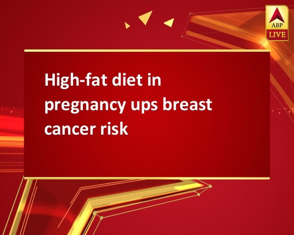 High-fat diet in pregnancy ups breast cancer risk