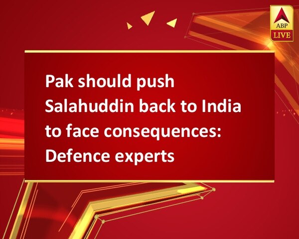 Pak should push Salahuddin back to India to face consequences: Defence experts Pak should push Salahuddin back to India to face consequences: Defence experts