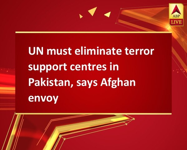 UN must eliminate terror support centres in Pakistan, says Afghan envoy UN must eliminate terror support centres in Pakistan, says Afghan envoy