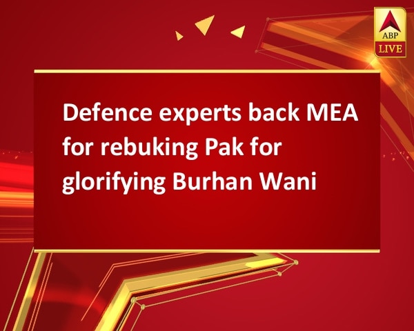 Defence experts back MEA for rebuking Pak for glorifying Burhan Wani Defence experts back MEA for rebuking Pak for glorifying Burhan Wani