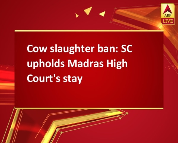 Cow slaughter ban: SC upholds Madras High Court's stay Cow slaughter ban: SC upholds Madras High Court's stay
