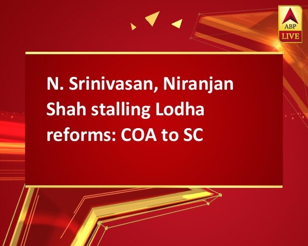 N. Srinivasan, Niranjan Shah stalling Lodha reforms: COA to SC N. Srinivasan, Niranjan Shah stalling Lodha reforms: COA to SC