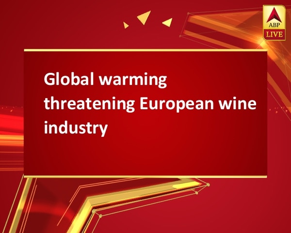 Global warming threatening European wine industry