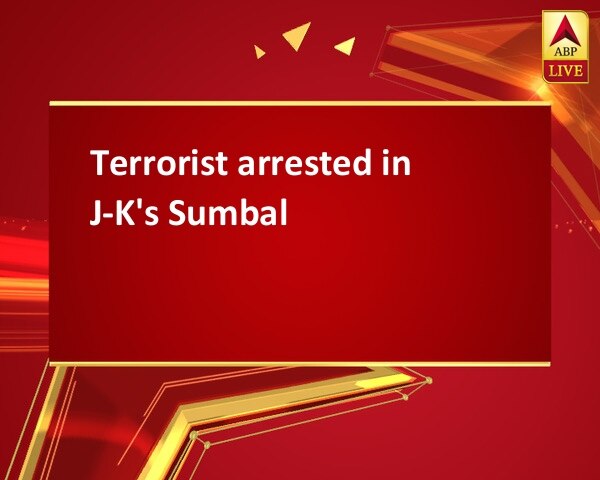 Terrorist arrested in J-K's Sumbal Terrorist arrested in J-K's Sumbal