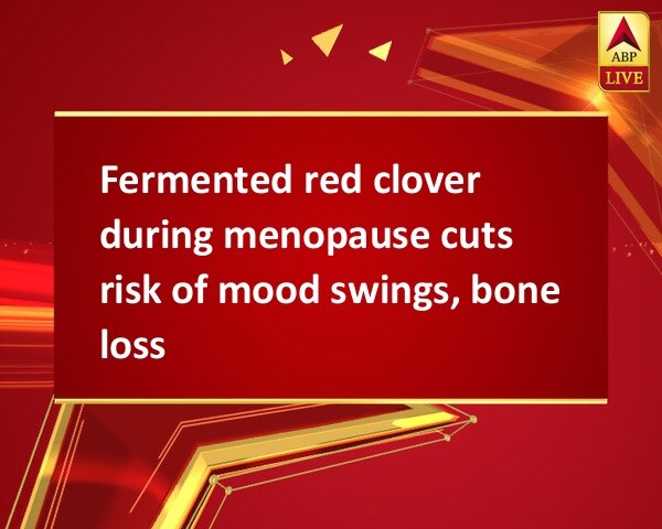 Fermented red clover during menopause cuts risk of mood swings, bone loss Fermented red clover during menopause cuts risk of mood swings, bone loss