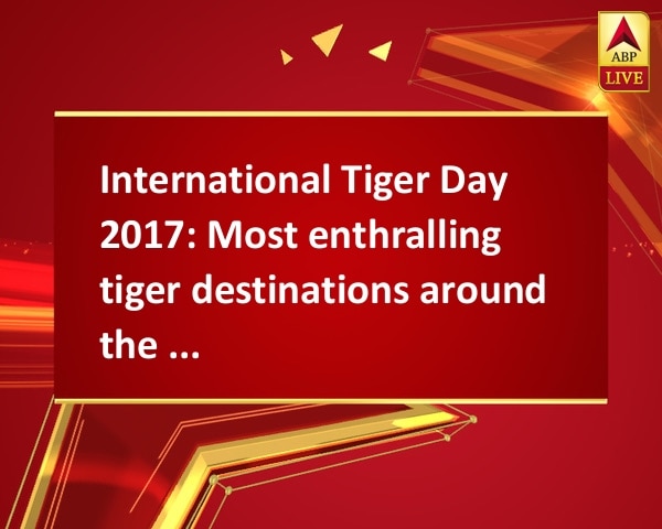 International Tiger Day 2017: Most enthralling tiger destinations around the world International Tiger Day 2017: Most enthralling tiger destinations around the world