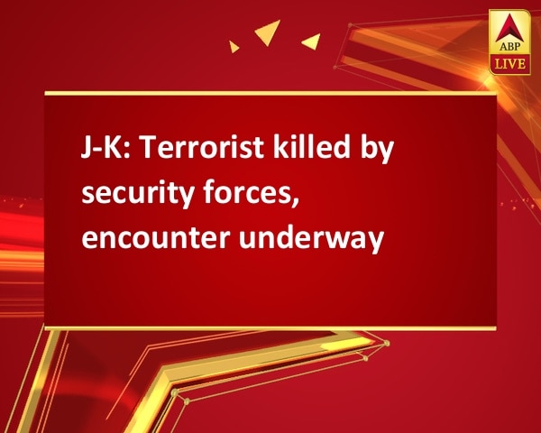 J-K: Terrorist killed by security forces, encounter underway J-K: Terrorist killed by security forces, encounter underway