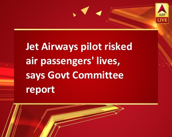 Jet Airways pilot risked air passengers' lives, says Govt Committee report Jet Airways pilot risked air passengers' lives, says Govt Committee report