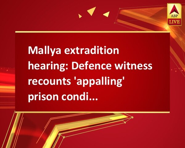 Mallya extradition hearing: Defence witness recounts 'appalling' prison conditions in India Mallya extradition hearing: Defence witness recounts 'appalling' prison conditions in India