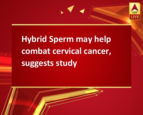 Hybrid Sperm may help combat cervical cancer, suggests study Hybrid Sperm may help combat cervical cancer, suggests study