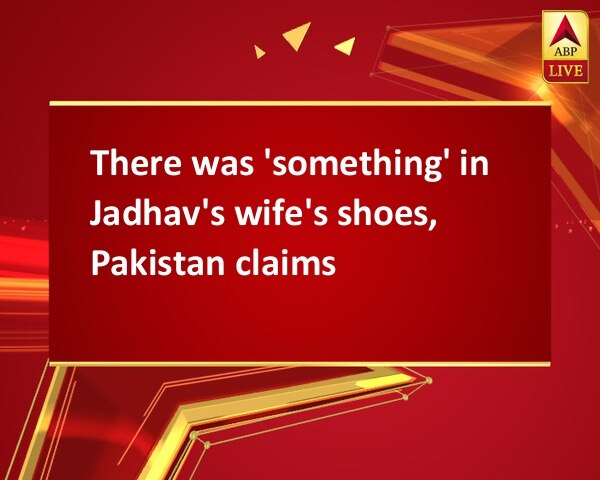 There was 'something' in Jadhav's wife's shoes, Pakistan claims There was 'something' in Jadhav's wife's shoes, Pakistan claims