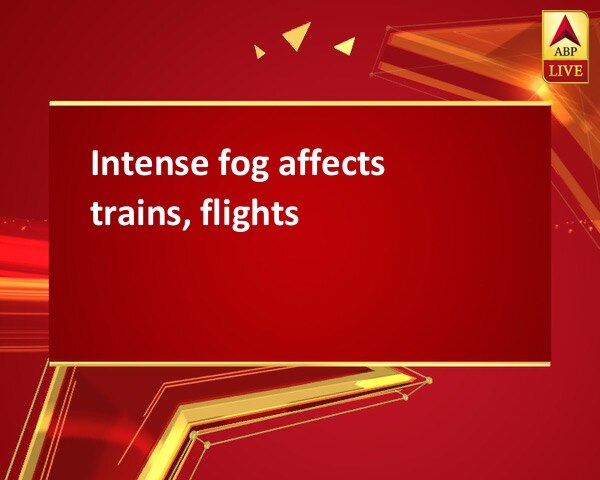 Intense fog affects trains, flights Intense fog affects trains, flights