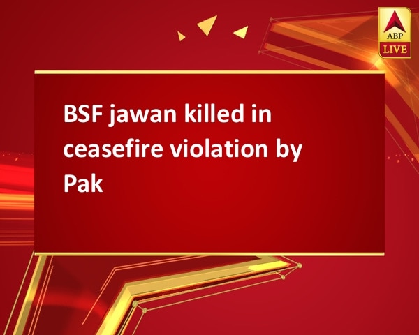 BSF jawan killed in ceasefire violation by Pak BSF jawan killed in ceasefire violation by Pak