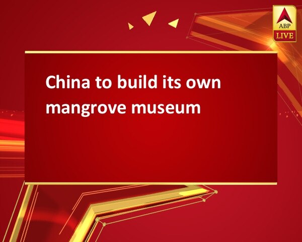 China to build its own mangrove museum China to build its own mangrove museum