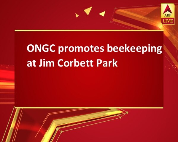 ONGC promotes beekeeping at Jim Corbett Park ONGC promotes beekeeping at Jim Corbett Park