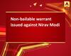Non-bailable warrant issued against Nirav Modi