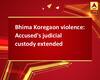 Bhima Koregaon violence: Accused\'s judicial custody extended