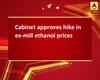 Cabinet approves hike in ex-mill ethanol prices