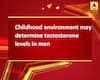 Childhood environment may determine testosterone levels in men