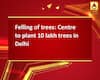 Felling of trees: Centre to plant 10 lakh trees in Delhi 