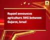 Rupani announces agriculture JWG between Gujarat, Israel