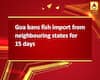 Goa bans fish import from neighbouring states for 15 days