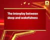 The Interplay between sleep and wakefulness