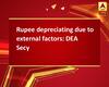 Rupee depreciating due to external factors: DEA Secy