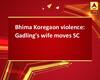 Bhima Koregaon violence: Gadling's wife moves SC