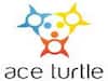 VIP partners with Ace Turtle for omnichannel transformation in India