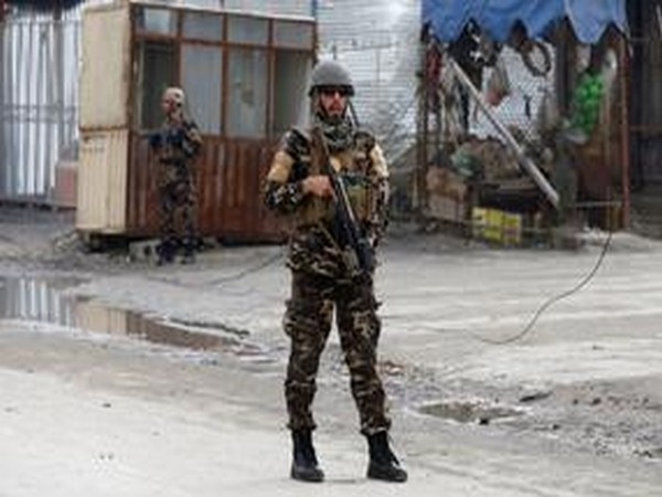 4 Taliban insurgents killed in Afghanistan 4 Taliban insurgents killed in Afghanistan