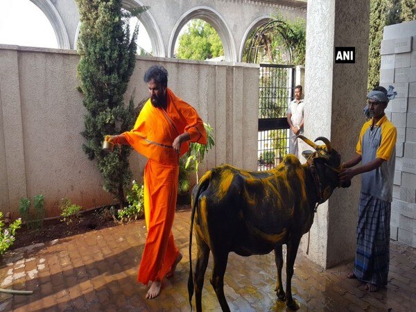 K'taka polls: BJP's Sriramulu performs 'gau puja' before casting his vote K'taka polls: BJP's Sriramulu performs 'gau puja' before casting his vote