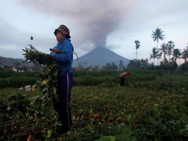 Bali raises volcano alert to highest level, say officials Bali raises volcano alert to highest level, say officials