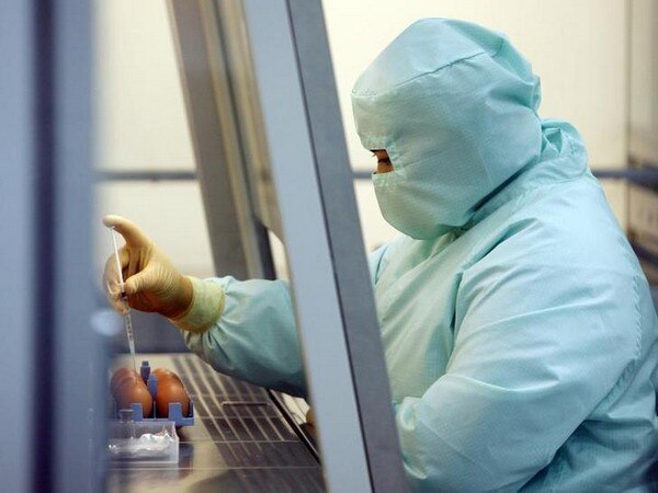 Ukraine a 'field' for Pentagon's biological tests: Hacker group CyberBerkut Ukraine a 'field' for Pentagon's biological tests: Hacker group CyberBerkut