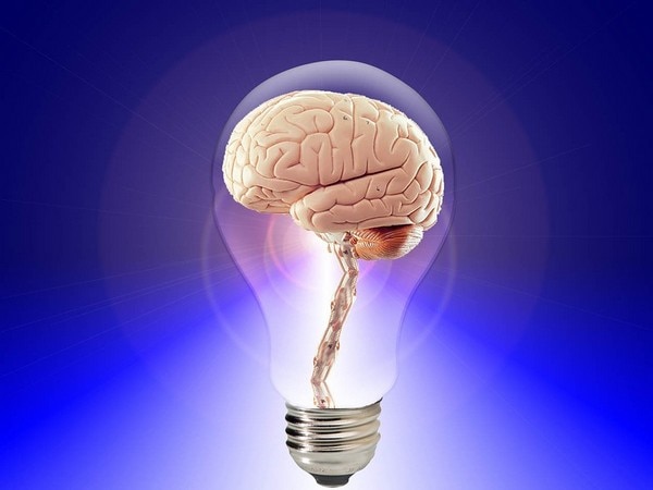Smart person's secret? A well-connected brain Smart person's secret? A well-connected brain