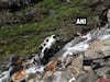 Himachal Pradesh: 11 killed as car plunges down hill