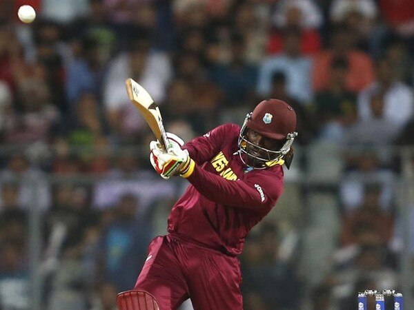 Gayle leads Windies celebrations after WC qualification Gayle leads Windies celebrations after WC qualification