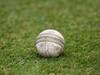 T20 World Cup may see specialised \'Turf20\' ball